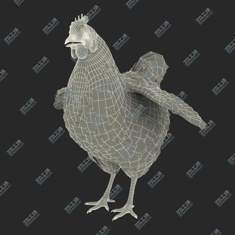 images/goods_img/202104022/Chicken Rigged for Maya 3D model/3.jpg